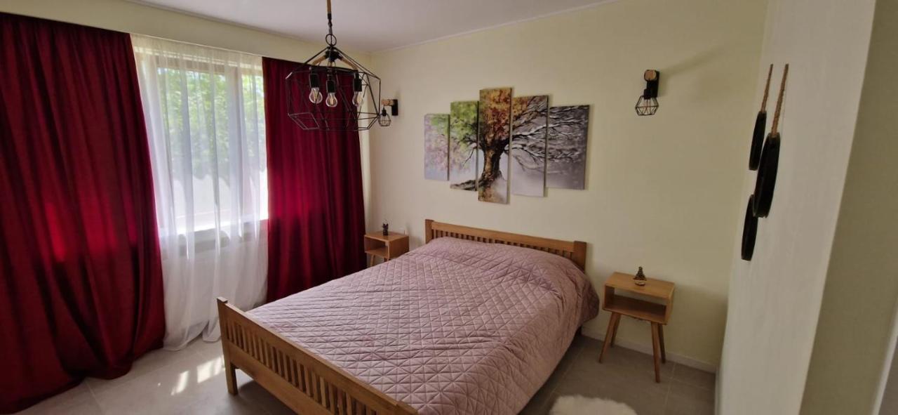 University Apartment Nagybánya Kültér fotó